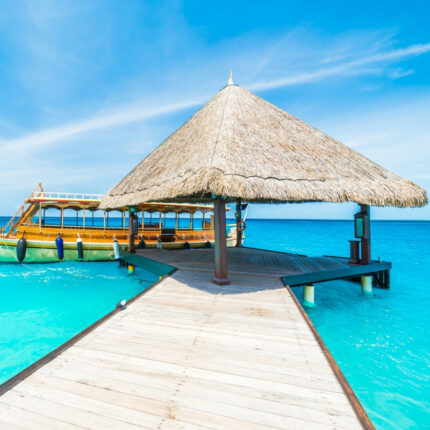 Svatební dar Svatební cesta